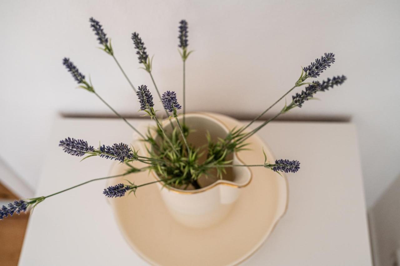 Fewo Im Alten Fachwerkhaus 배드바카우 외부 사진